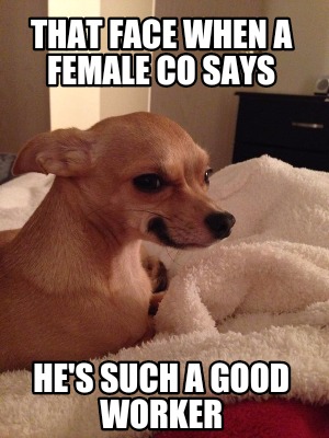 that-face-when-a-female-co-says-hes-such-a-good-worker