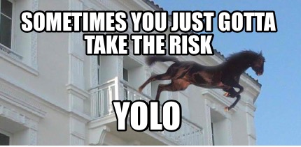 sometimes-you-just-gotta-take-the-risk-yolo
