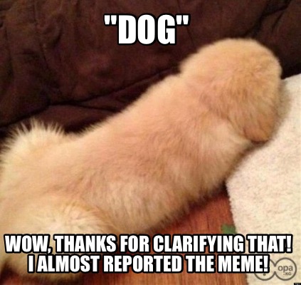 dog-wow-thanks-for-clarifying-that-i-almost-reported-the-meme
