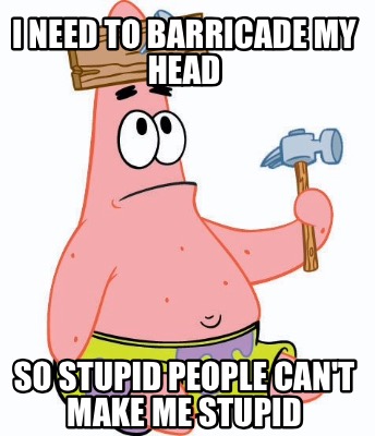i-need-to-barricade-my-head-so-stupid-people-cant-make-me-stupid