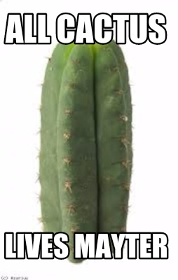 all-cactus-lives-mayter
