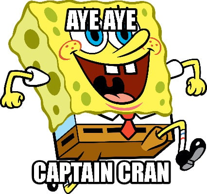 aye-aye-captain-cran