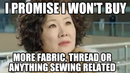 i-promise-i-wont-buy-more-fabric-thread-or-anything-sewing-related