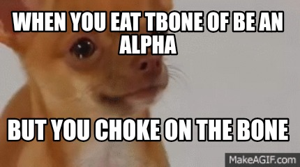 when-you-eat-tbone-of-be-an-alpha-but-you-choke-on-the-bone