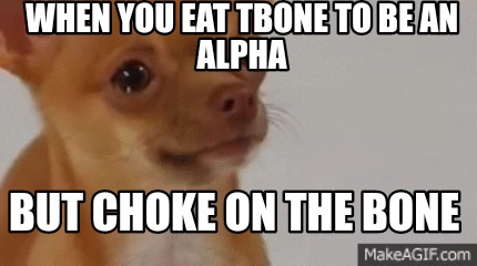 when-you-eat-tbone-to-be-an-alpha-but-choke-on-the-bone9