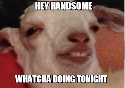 Meme Creator - Funny hey handsome whatcha doing tonig Meme Generator at ! Meme Creator - Funny hey handsome whatcha doing tonig Meme Generator at !