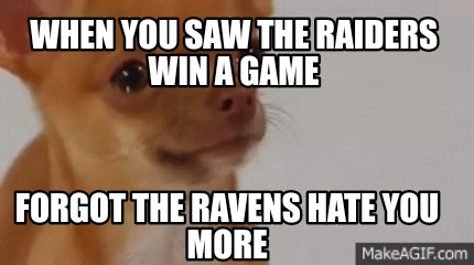 when-you-saw-the-raiders-win-a-game-forgot-the-ravens-hate-you-more