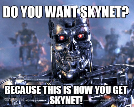 do-you-want-skynet-because-this-is-how-you-get-skynet