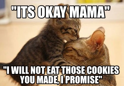 its-okay-mama-i-will-not-eat-those-cookies-you-made-i-promise