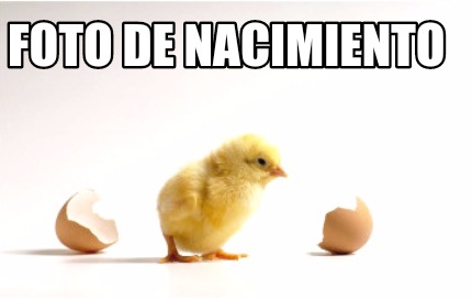 foto-de-nacimiento