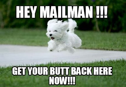 hey-mailman-get-your-butt-back-here-now