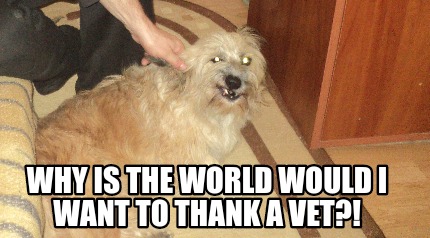 why-is-the-world-would-i-want-to-thank-a-vet