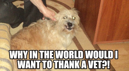 why-in-the-world-would-i-want-to-thank-a-vet