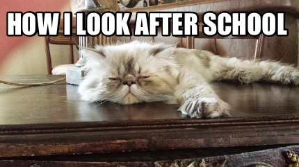 how-i-look-after-school