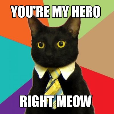 youre-my-hero-right-meow