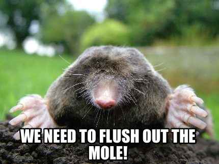 we-need-to-flush-out-the-mole3