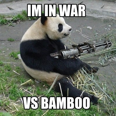 im-in-war-vs-bamboo