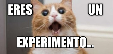 eres-un-experimento