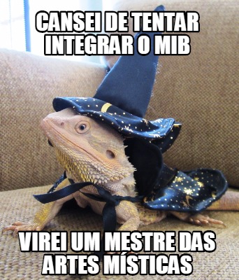 cansei-de-tentar-integrar-o-mib-virei-um-mestre-das-artes-msticas