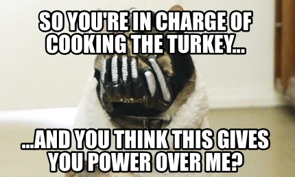 so-youre-in-charge-of-cooking-the-turkey...-...and-you-think-this-gives-you-powe