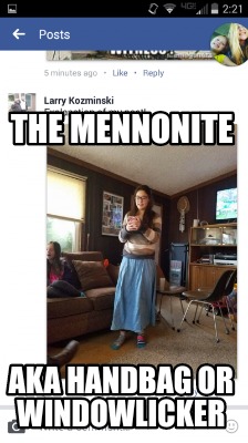 the-mennonite-aka-handbag-or-windowlicker