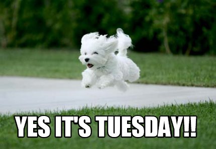 yes-its-tuesday