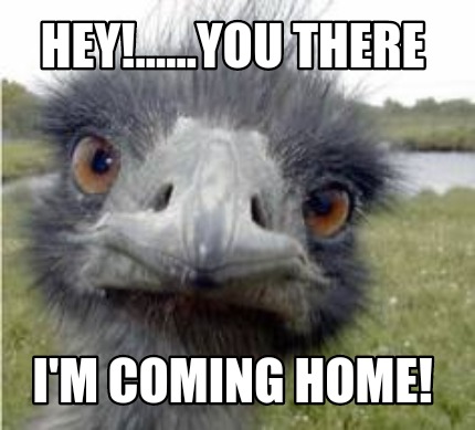 hey......you-there-im-coming-home4