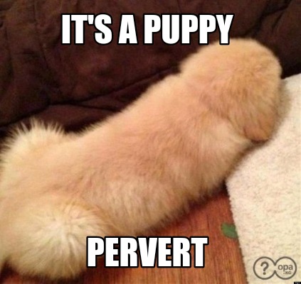 its-a-puppy-pervert