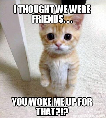 who ever woke me up meme who ever woke me up meme