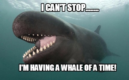 i-cant-stop........-im-having-a-whale-of-a-time