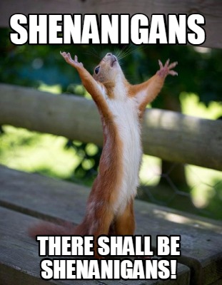 shenanigans-there-shall-be-shenanigans