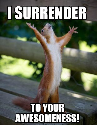 Meme Creator - Funny I surrender to your awesomeness! Meme Generator at ! Meme Creator - Funny I surrender to your awesomeness! Meme Generator at !