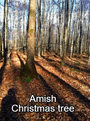 amish-christmas-tree