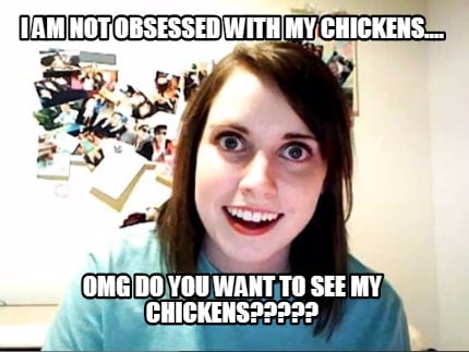 i-am-not-obsessed-with-my-chickens....-omg-do-you-want-to-see-my-chickens