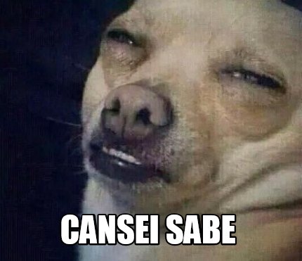 cansei-sabe7