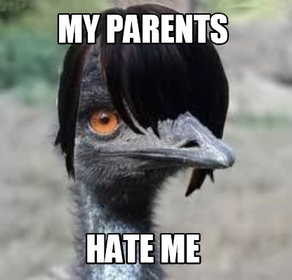 my-parents-hate-me