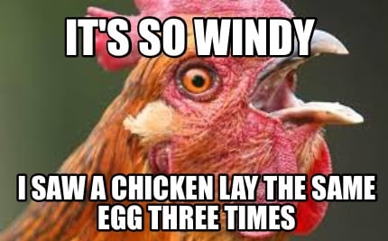 its-so-windy-i-saw-a-chicken-lay-the-same-egg-three-times2