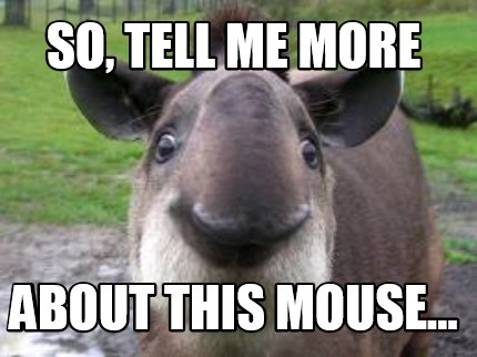 so-tell-me-more-about-this-mouse