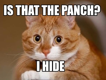 is-that-the-panch-i-hide