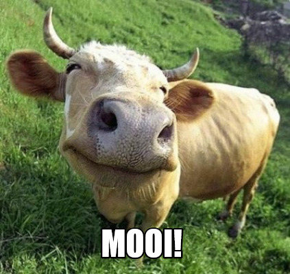 mooi96