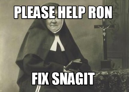 please-help-ron-fix-snagit