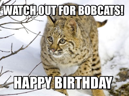 watch-out-for-bobcats-happy-birthday