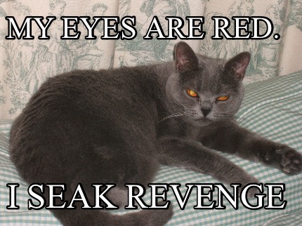 my-eyes-are-red.-i-seak-revenge