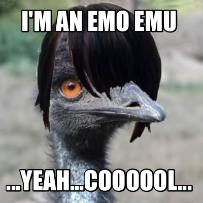 im-an-emo-emu-...yeah...coooool