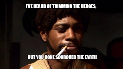 ive-heard-of-trimming-the-hedges-but-you-done-scorched-the-earth