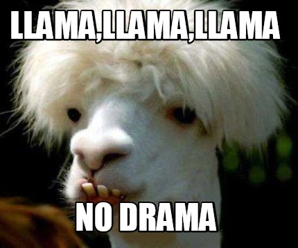 llamallamallama-no-drama