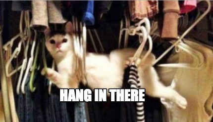 hang-in-there42