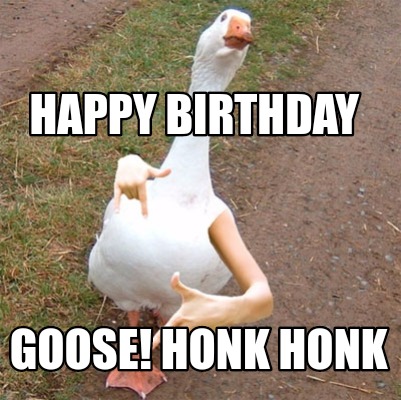 happy-birthday-goose-honk-honk