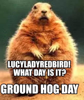 lucyladyredbird-what-day-is-it-ground-hog-day