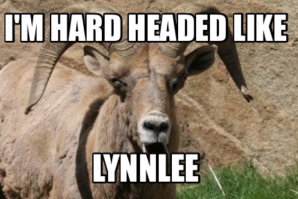 Meme Creator Funny I M Hard Headed Like Lynnlee Meme Generator At Memecreator Org